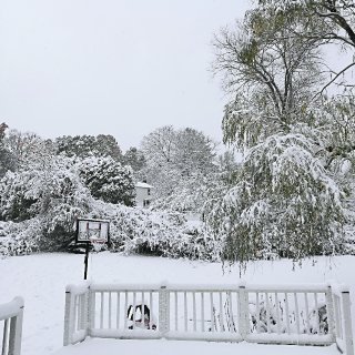 自带黑白效果的雪景图🏔️...