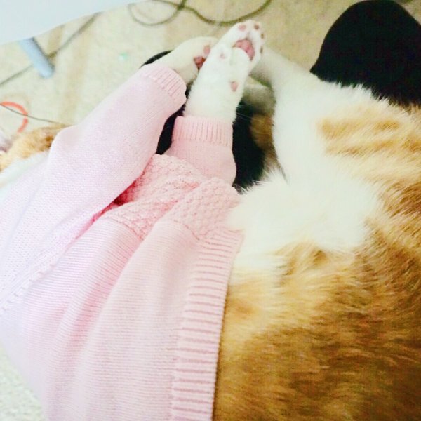 晒货图片