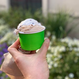 波士顿美食推荐｜本墙头草目前最爱的冰淇淋...