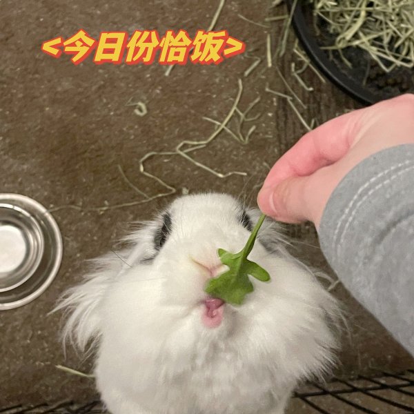 晒货图片