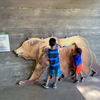 波特兰的俄勒冈动物园很好逛...