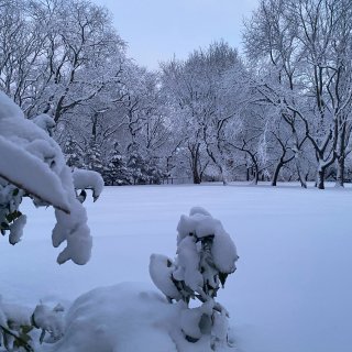 纽约的雪❄️