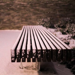 美东一场大雪❄️雪天照片真美腻！...