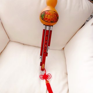 极具民族特色的小众乐器“葫芦丝”...