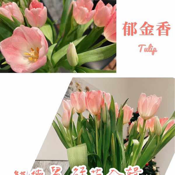 晒货图片