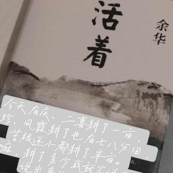 晒货图片
