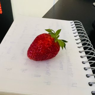自家种的草莓终于结果啦啦啦啦啦...