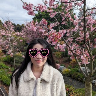 赏樱🌸San Diego日本公园 | 樱...