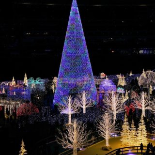 🎄世界上最大圣诞灯展来San Jose了...