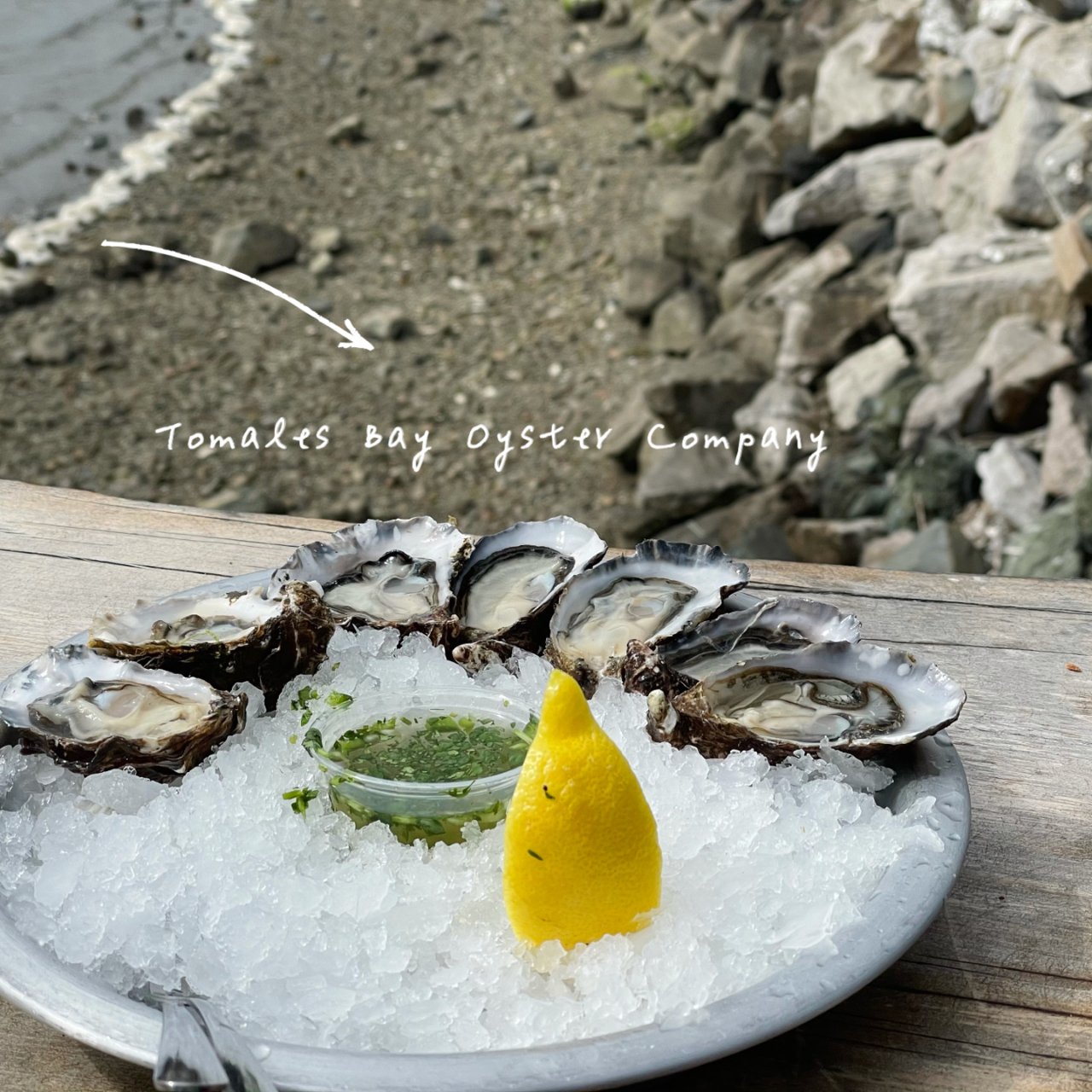 Tomales Bay Oyster C...