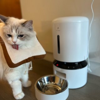 微众测 | 终于有一款喂食器可以监控猫主...