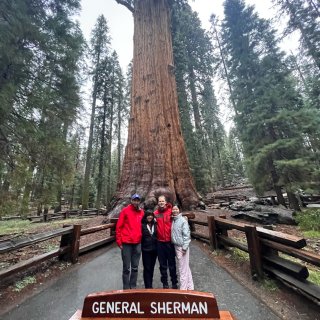 Sequoia NP🌲🪵国家公园🏞️ca...