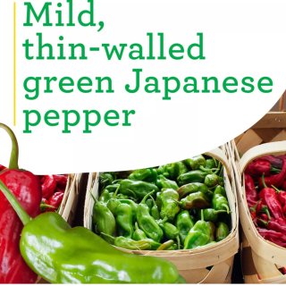 Shishito Pepper 日本甜椒...
