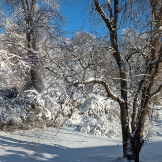 晴朗的雪景看上去更美，有木有？...