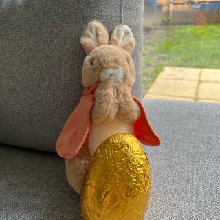 彼得兔玩偶和金蛋！超可爱的复活节礼物...