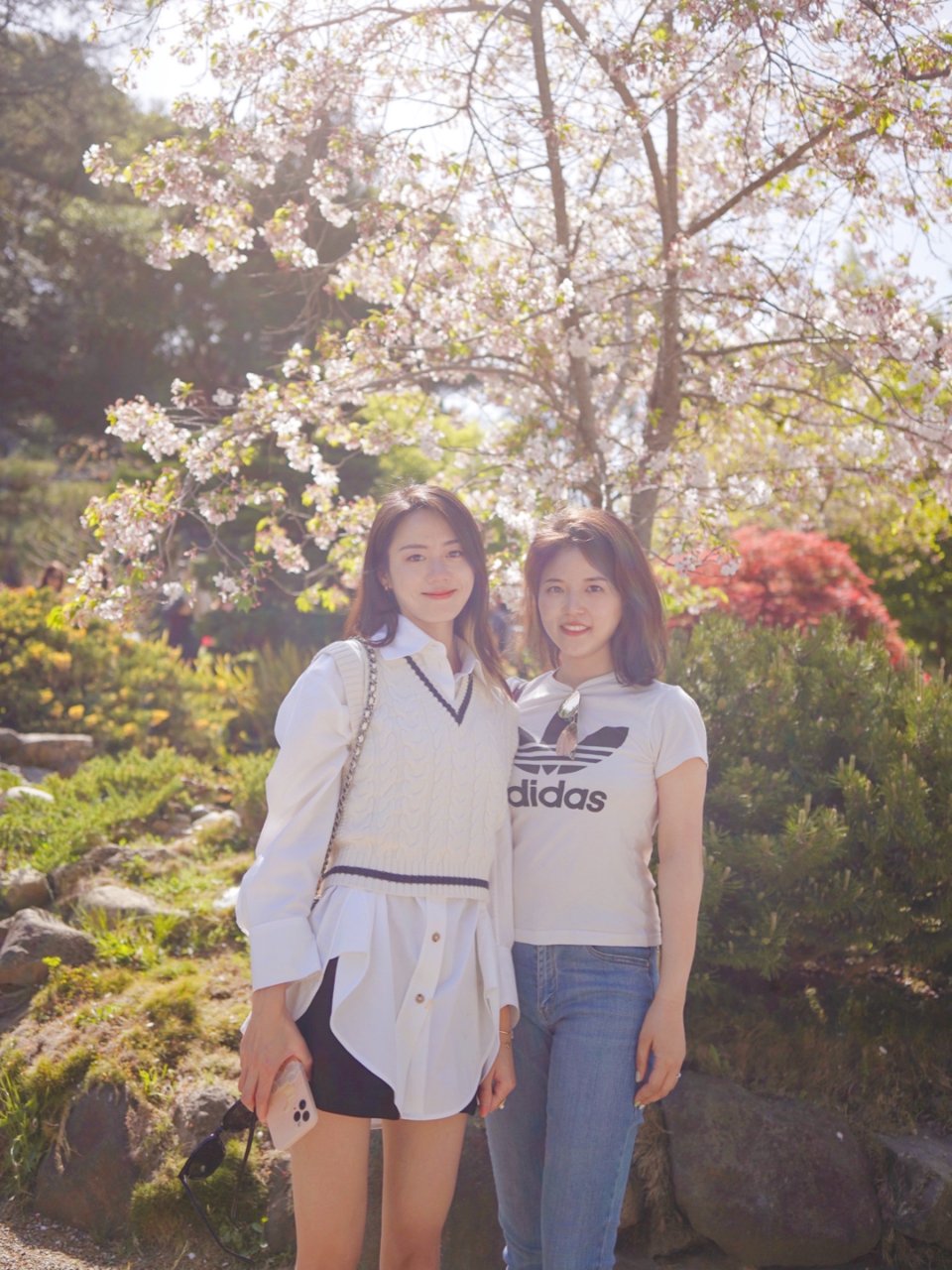 春天跟小伙伴们一起看樱花🌸湾区日本樱花园...