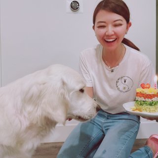 自制狗狗蛋糕｜为狗狗做一款专属小蛋糕🎂吧...