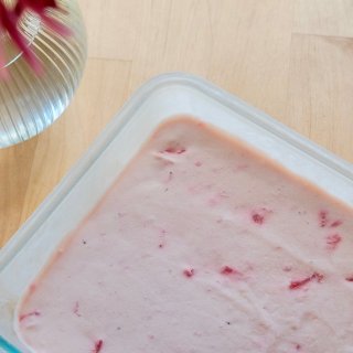 DIY满满果肉的🍓草莓冰淇淋 | 消耗淡...