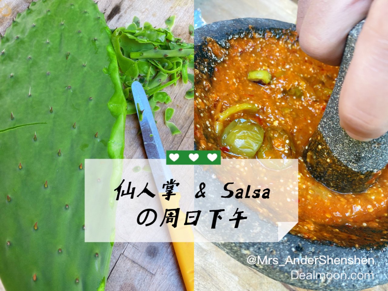 【世界美食】新鲜仙人掌&墨西哥Salsa...
