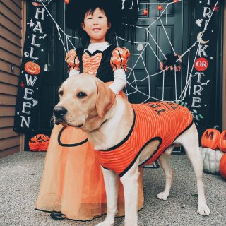 Happy Halloween！小女巫带...