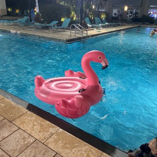 户外玩-酒店泳池玩水...