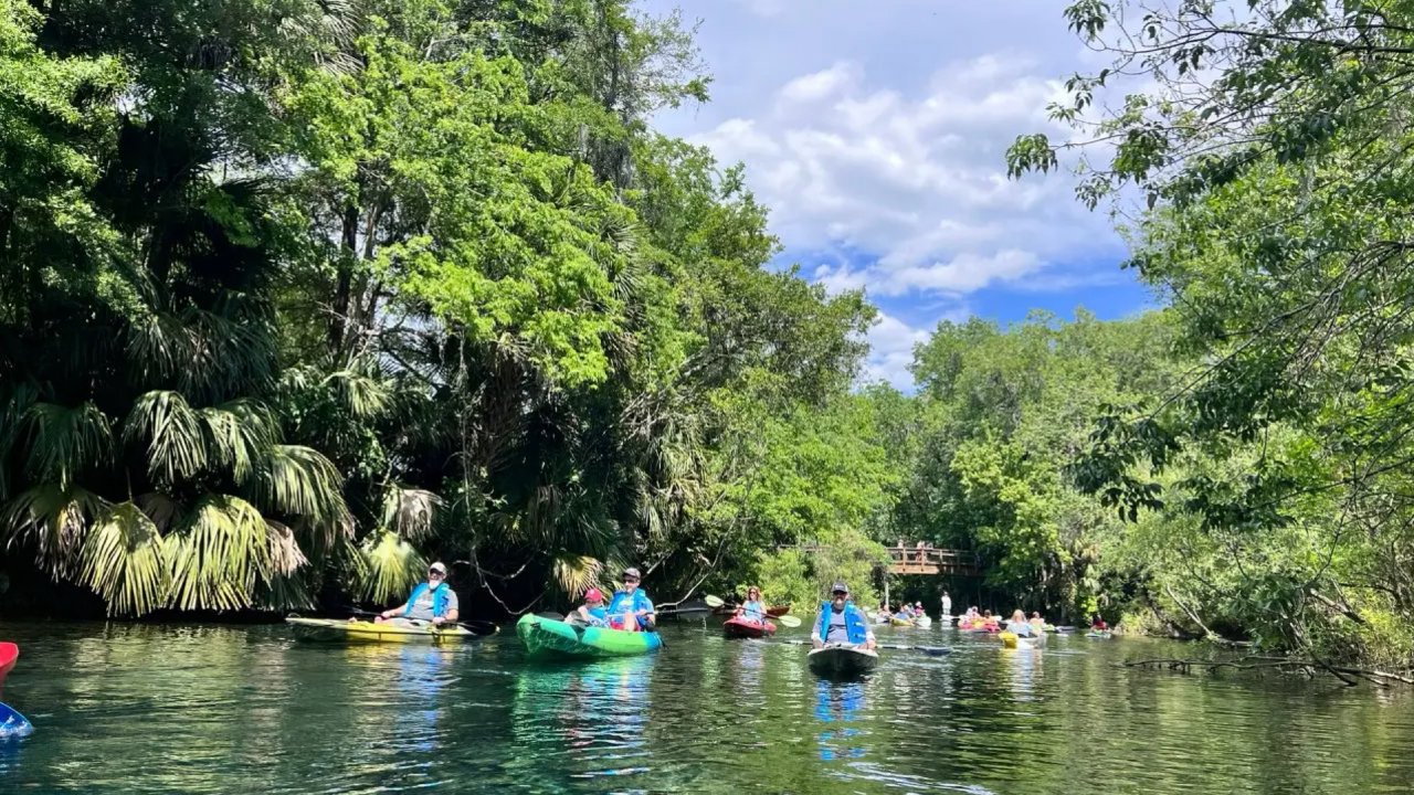佛罗里达FL｜一定要体验的Kayaking独木舟