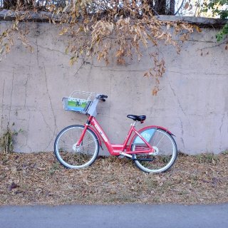 在Denver骑自行车...