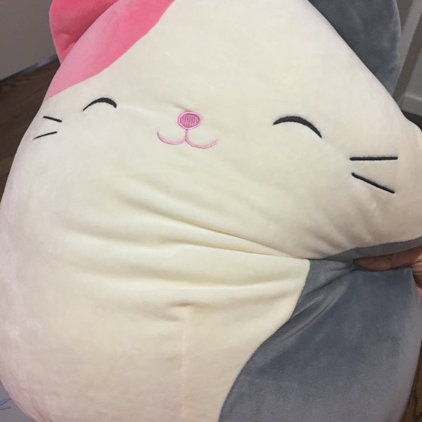 晒货图片