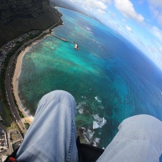 夏威夷欧胡岛的滑翔伞🪂...
