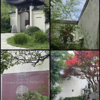 DC盆栽馆的中式园林开了｜白墙黑瓦小而美...