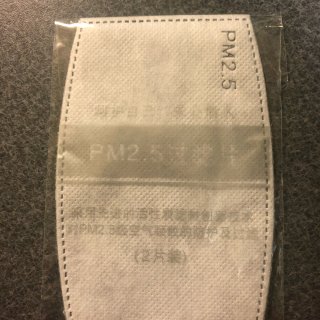 PM 2.5 口罩
