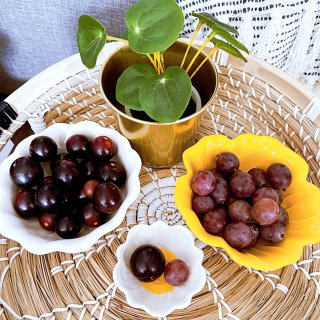葡萄季来分享两个好吃的葡萄🍇🍇意大利葡萄...