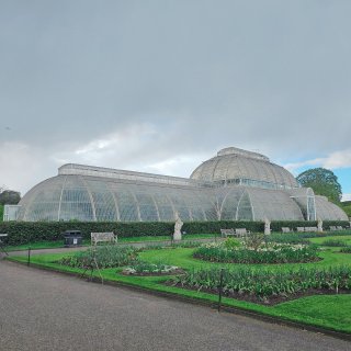 英格兰的春 清冷雨后 Kew Garde...