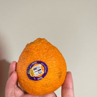 Sumo丑橘
