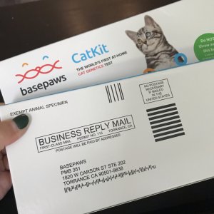 Basepaws 猫咪DNA测试