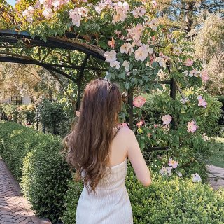 浪漫法式穿搭OOTD｜分享我的夏天新裙裙...