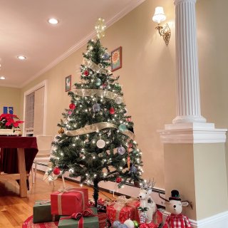 27刀圣诞树🎄仪式感满满的宅家自拍🤳...