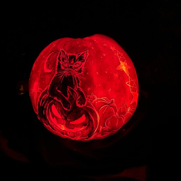 晒货图片
