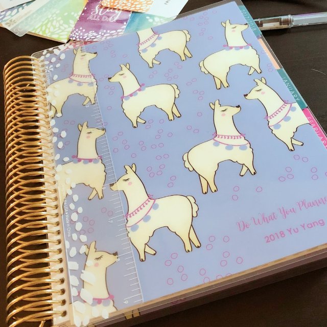 新买的planner终于到货了，爱...