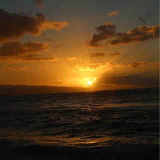 【夏威夷】北岸Sunset Beach...