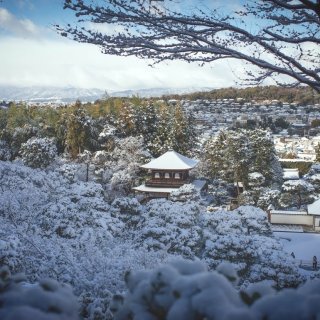 下雪了 穿上和服 去京都走走，银装素裹的...