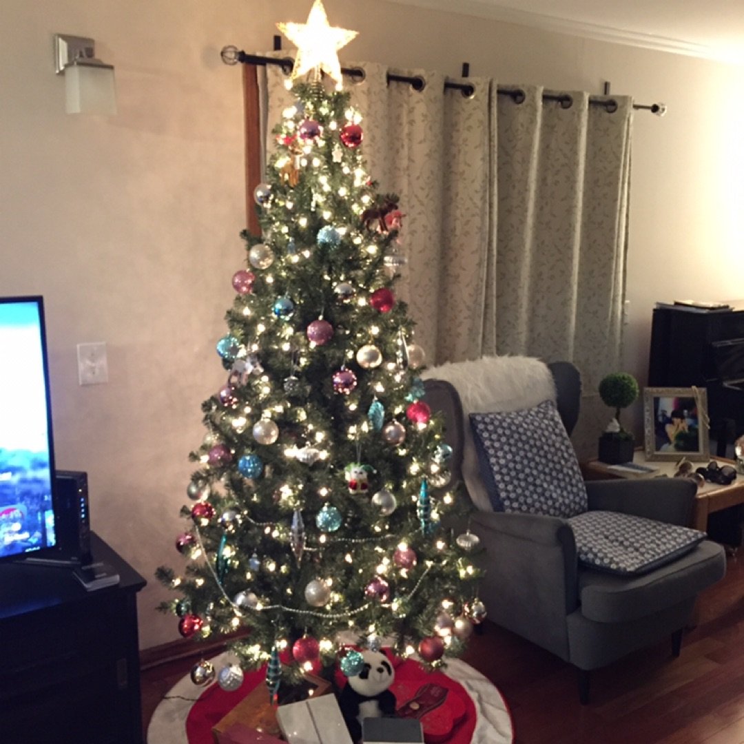 圣诞树及挂饰