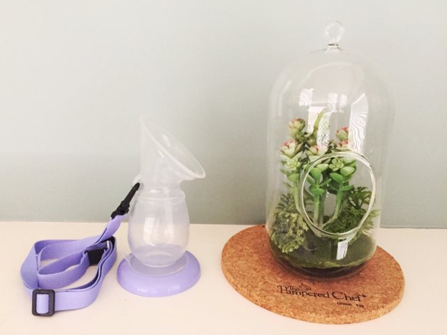 母乳收集瓶 | Breastfee...