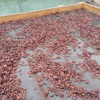 厄瓜多尔| Mindo巧克力之旅❤️...