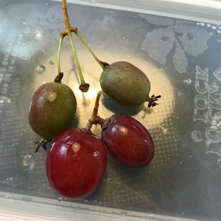 朋友送來的小可愛水果...