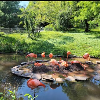 Philadelphia Zoo