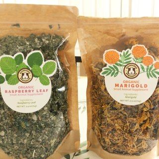 GuineaDad Nourish Series - Herbal Supplement