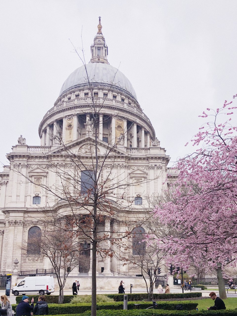 伦敦赏樱｜圣保罗大教堂的樱花开了...