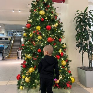 target新入的圣诞树ornament...