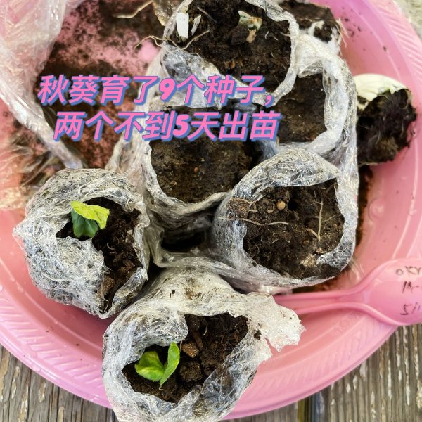 晒货图片